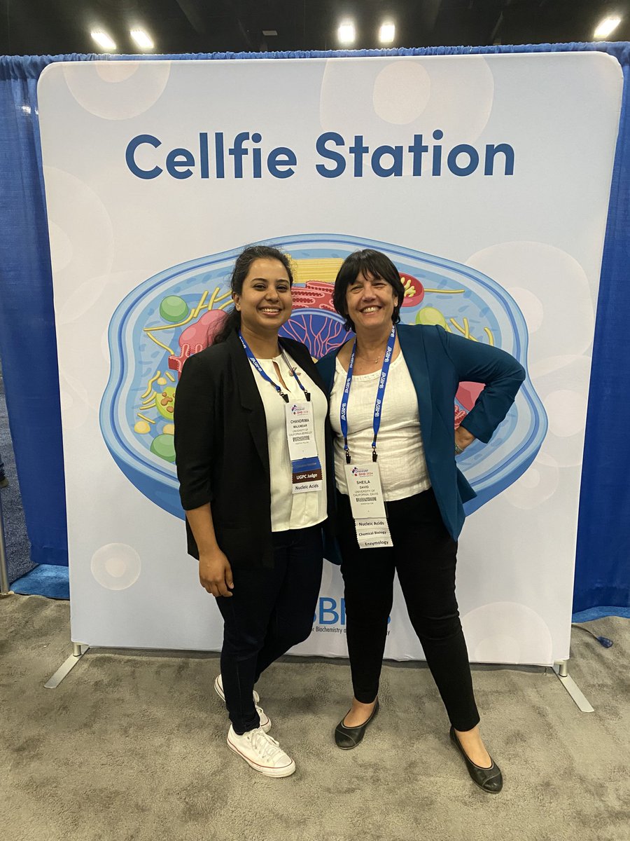 Great to catch up with my former student ⁦@chon_majumdar⁩ ⁦<a href="/David_lab_UCD/">David Lab</a>⁩ #discoverbmb ⁦<a href="/ITSASBMB/">ASBMB</a>⁩ ⁦<a href="/UCDChem/">UC Davis Department of Chemistry</a>⁩ !  Great conference!!