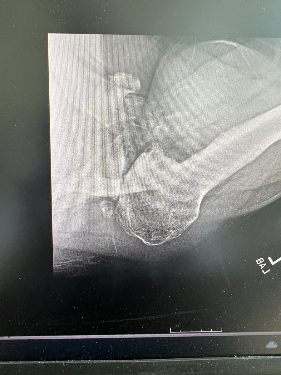 Tim Lenters, MD tweet media