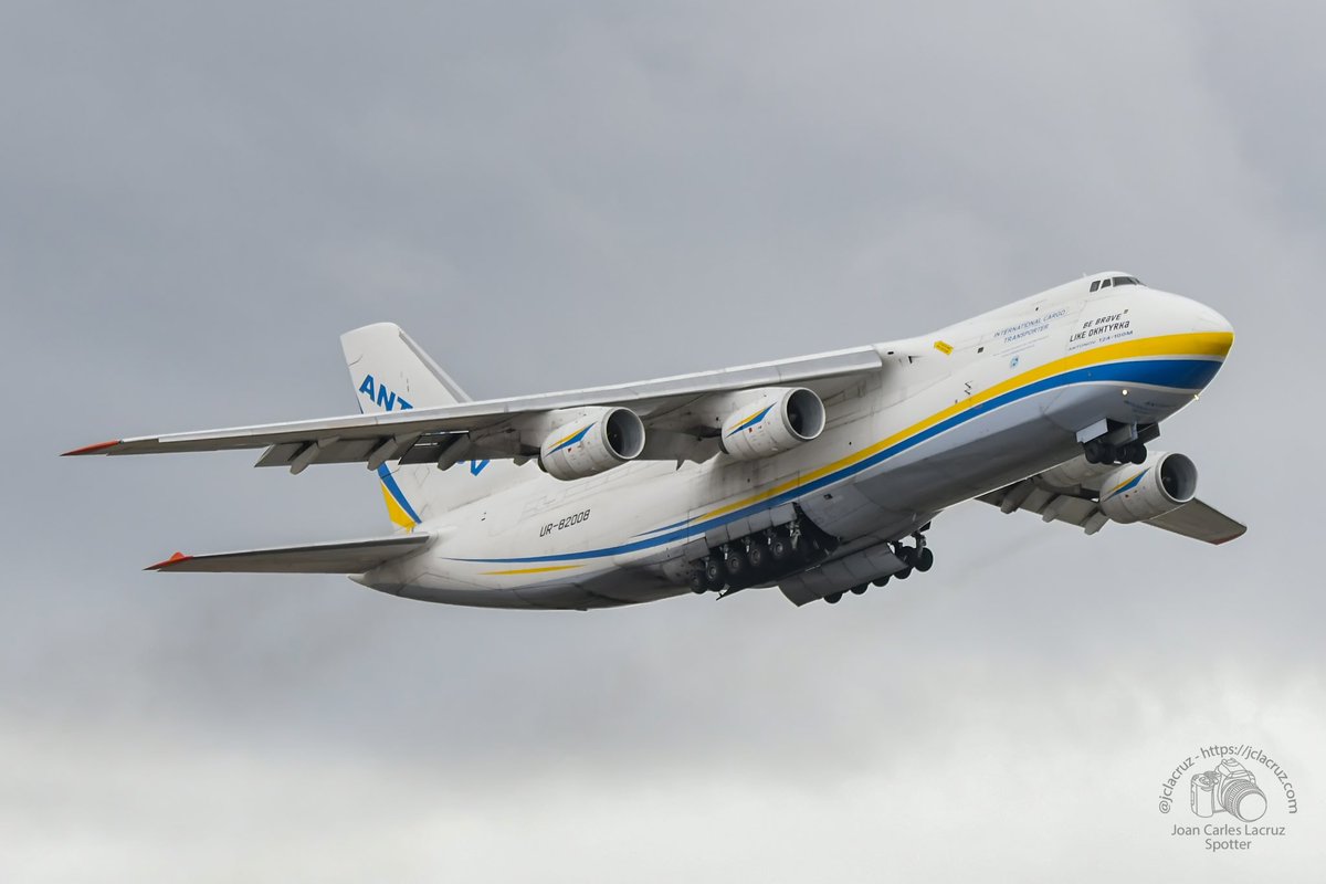 Joan Carles Lacruz tweet media