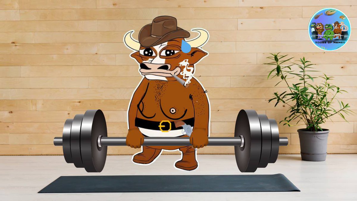 He’s angry on Jeets. 

Now it’s time to reverse from here and show Jeets the power of $pepe $mumu $tremp $peng #SolanaMemcoin