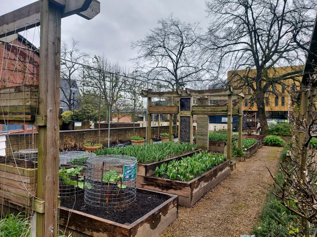 _davidjacques_'s tweet image. Nice to have a little nose around @covcampus today. The grounds team are a credit to the university.