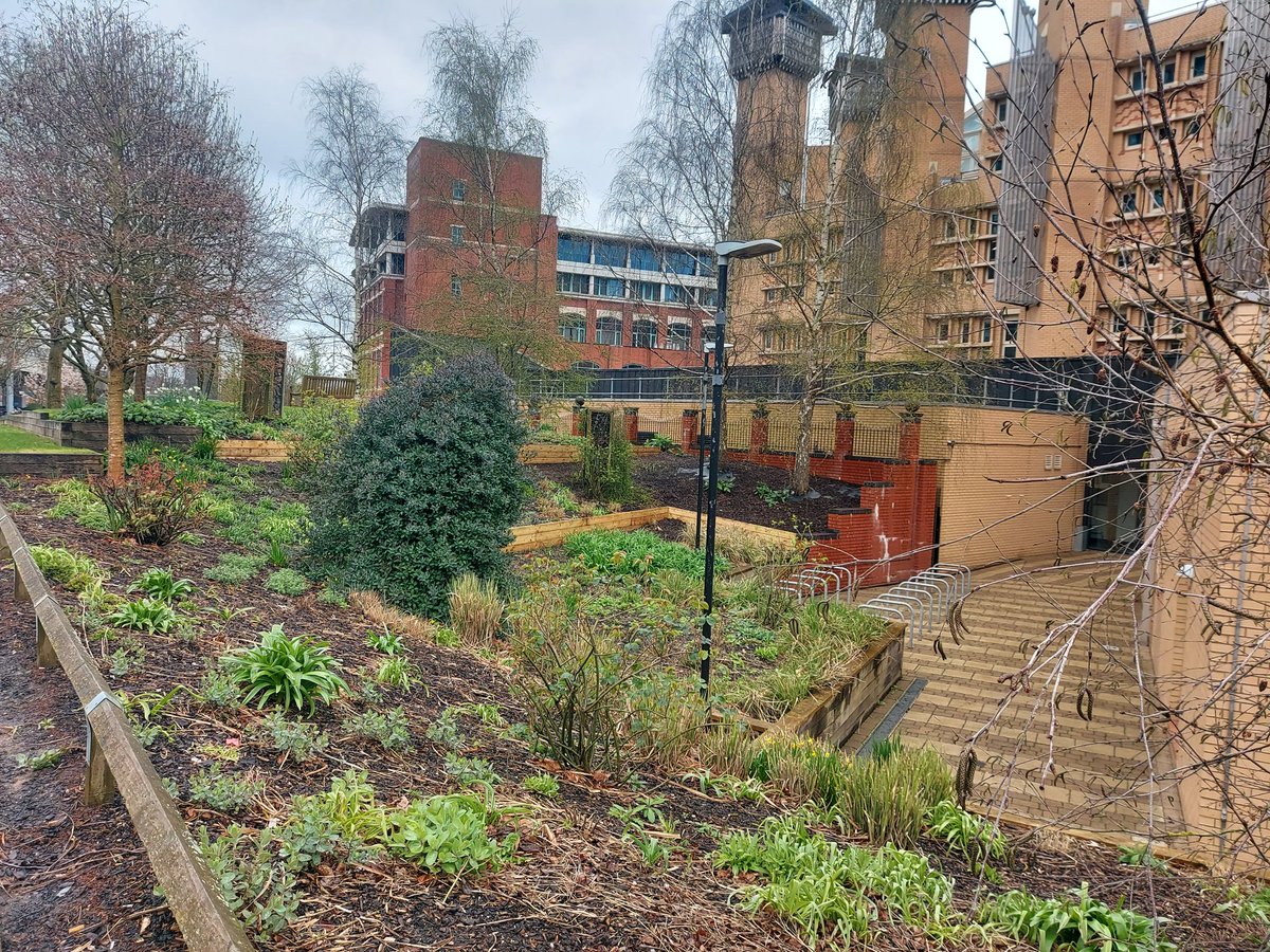_davidjacques_'s tweet image. Nice to have a little nose around @covcampus today. The grounds team are a credit to the university.