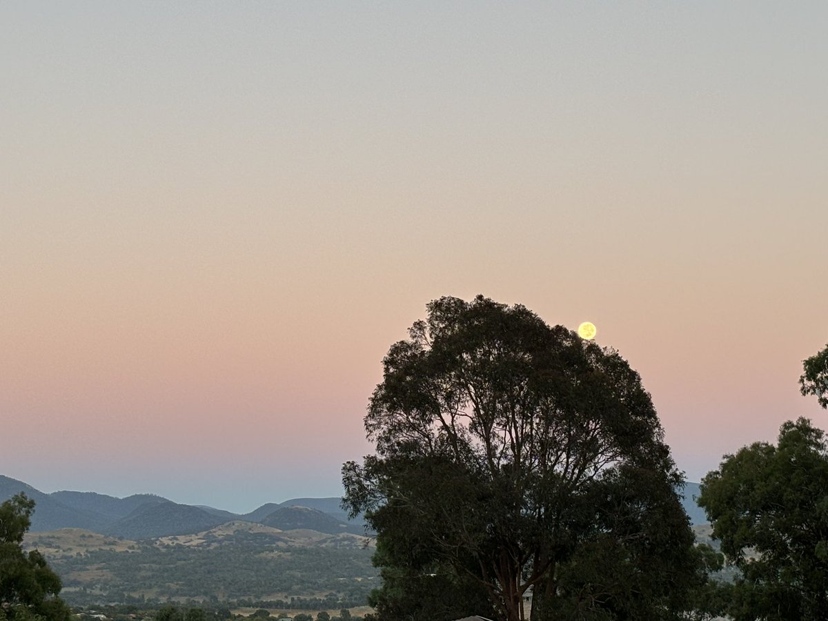 chifley_alison's tweet photo. Looking to the west this morning with the beautiful moon and the soft dawn colours in #Conder https://t.co/kjWh189sAj