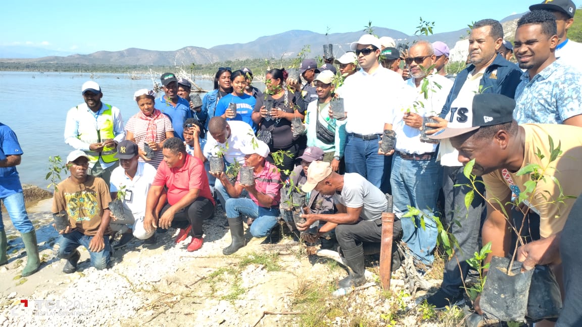 Siembra de mangles para la restauración ecológica de ecosistemas en el P/ nacional #LagoEnriquillo. Más de 500 arbolitos plantados por el personal local de @ambienterd y @fondomarena y @SurFuturo como parte del proyecto  @BIOPAMA @DarioMedranoR @grupojaragua @federicofrancot