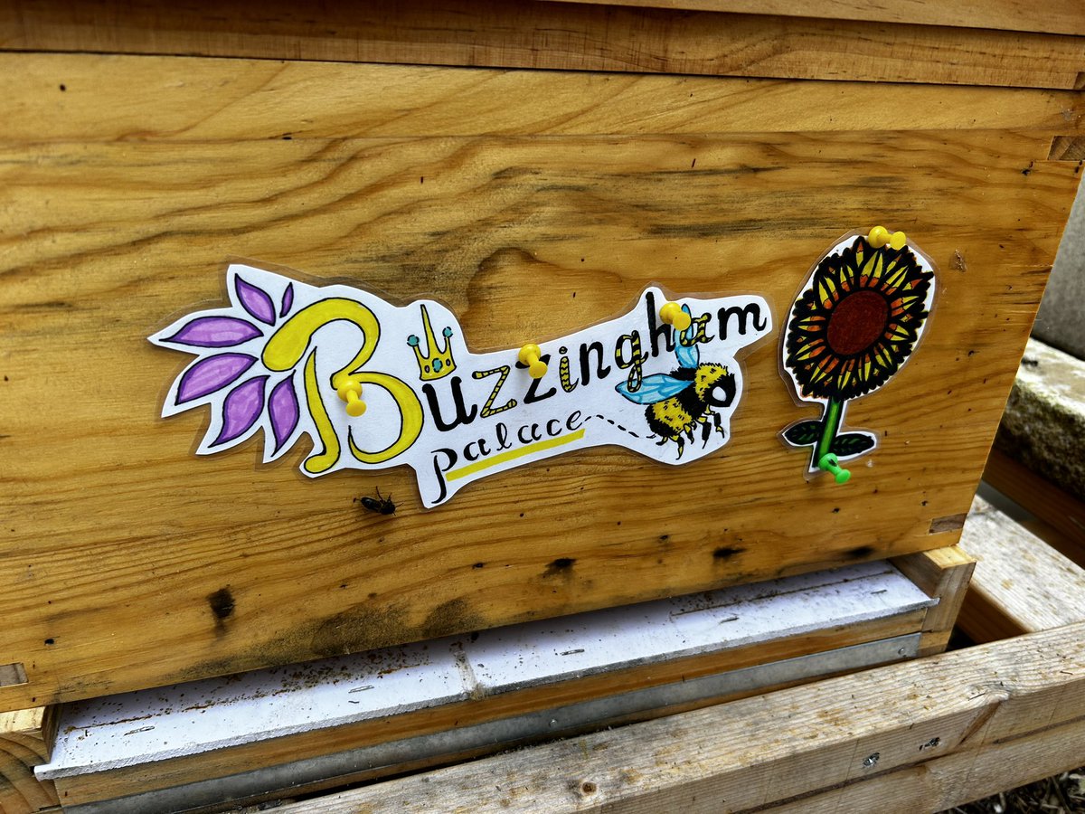 Last beekeeping lesson with this lovely bunch today. Wishing them all the best for the exams and super proud of all the hard work they put into their Wider Achievement this year 💪🏻🐝