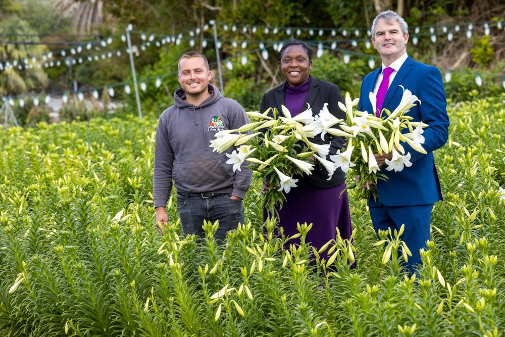 Today, Jacob & I selected 🇧🇲 Easter Lilies for Their Majesties @RoyalFamily on behalf of the people of 🇧🇲, as Governors have done for over 70yrs.  Thanks to Pacheco & Sons Farm for the lilies & @British_Airways for flying them to 🇬🇧  tonight
