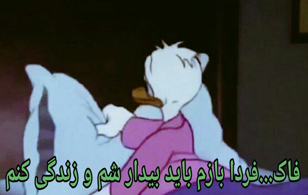 هر شب قبل خواب: