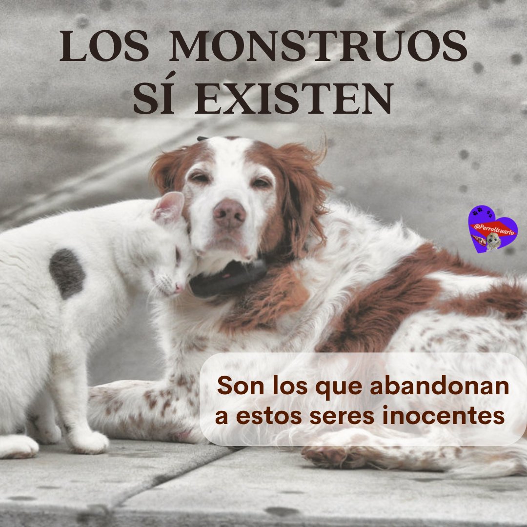 Lo diremos en pocas palabras…