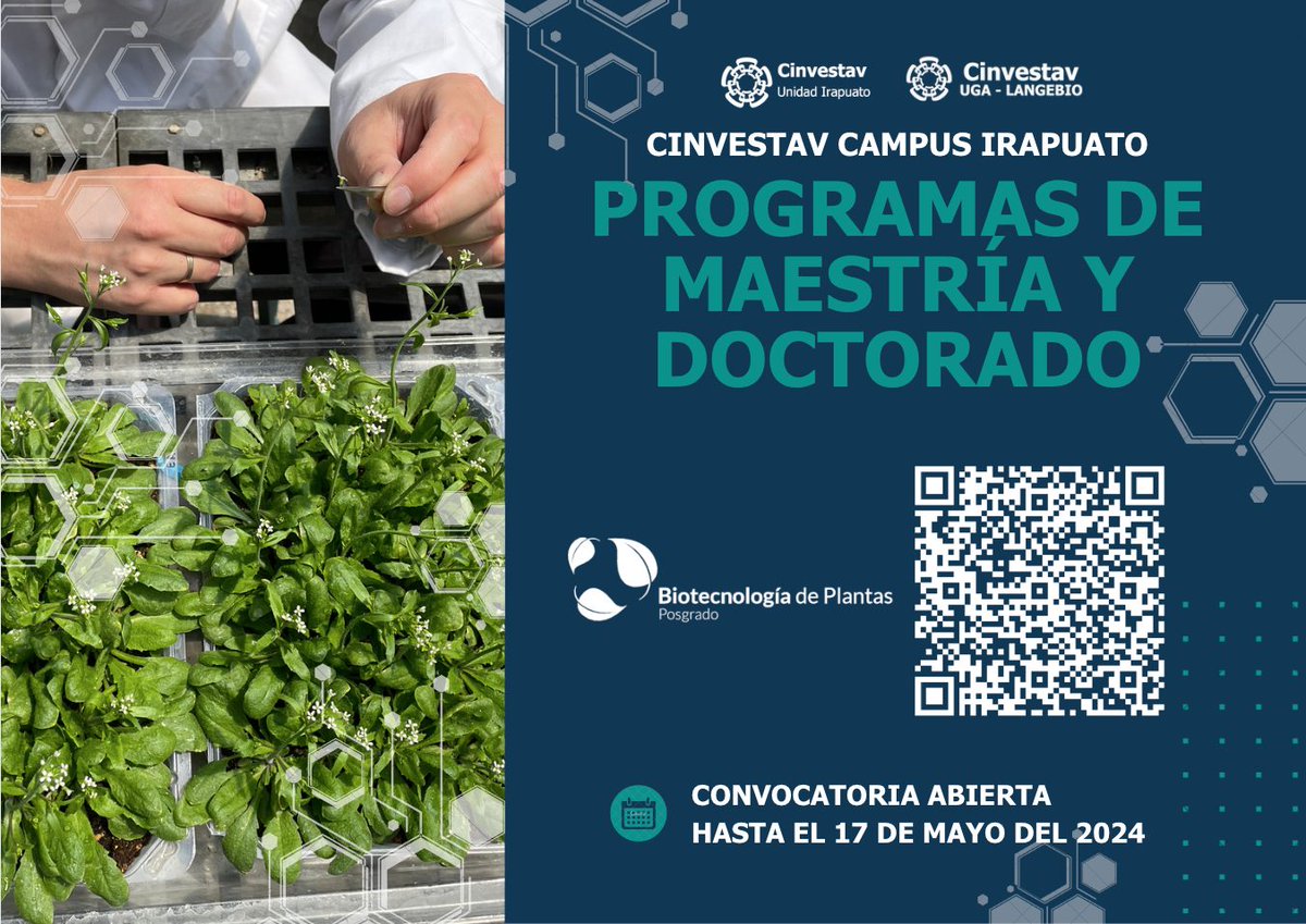 🟥CONVOCATORIA ABIERTA🟥
🟢Se encuentra abierta la CONVOCATORIA 2024 para el programa de <a href="/biotec_plantas/">Biotecnología de Plantas CINVESTAV</a> para maestría y doctorado.
📅Cierre de convocatoria: 17 de mayo de 2024.
🔴No habrá extensión de la fecha límite.
ℹ️bit.ly/BioteDePlantas