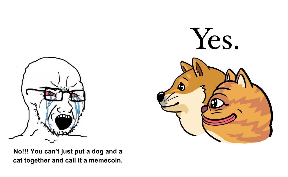 DogWifCat tweet media