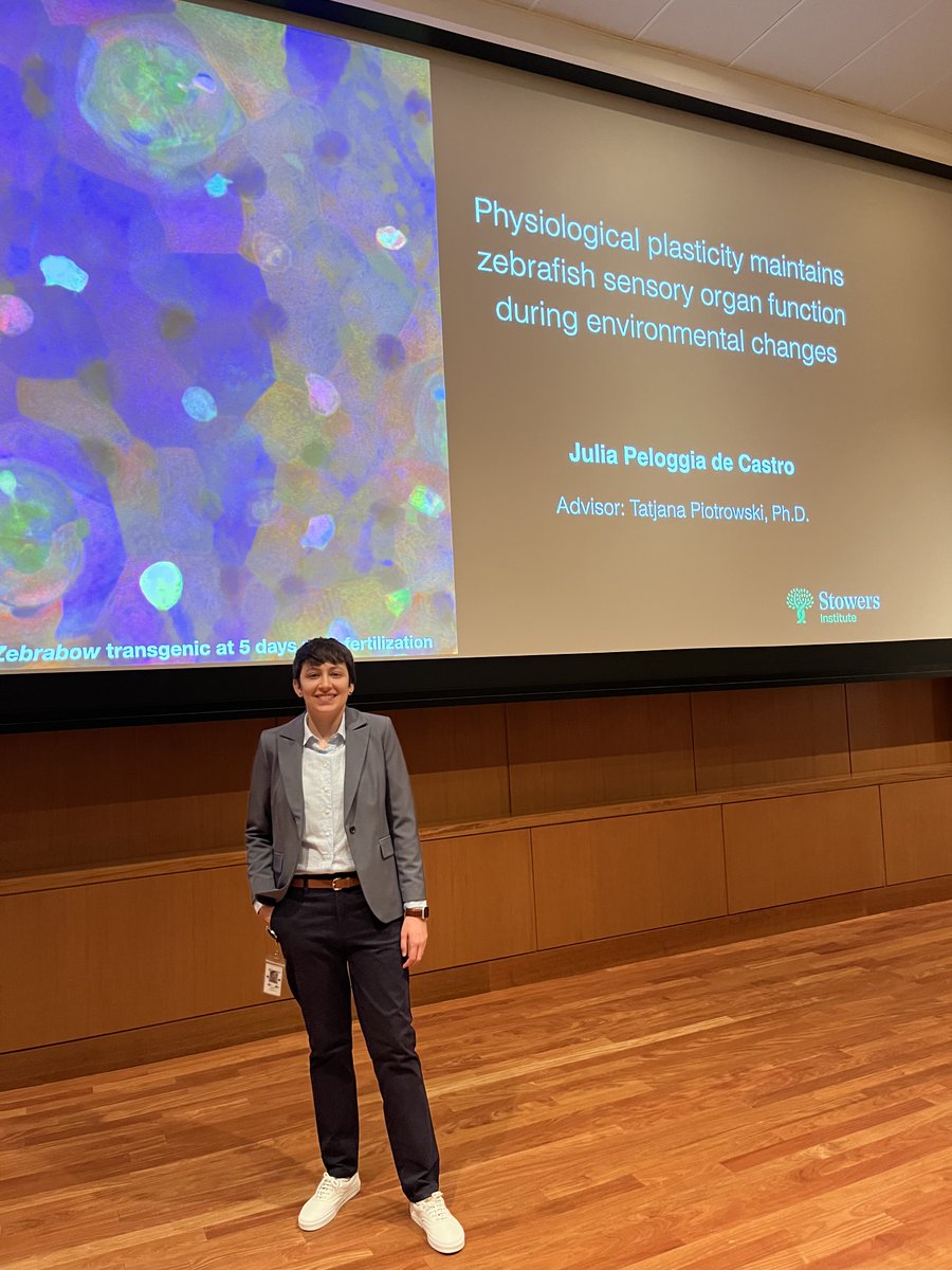 Stowers Grad School (@stowersgrad) on Twitter photo Please join us in congratulating Julia Peloggia de Castro (@jupeloggia) on a successful thesis defense today! Well done. 👏 <a href="/LabPiotrowski/">Piotrowski Lab</a> #PhD #GradSchool Please join us in congratulating Julia Peloggia de Castro (@jupeloggia) on a successful thesis defense today! Well done. 👏 <a href="/LabPiotrowski/">Piotrowski Lab</a> #PhD #GradSchool