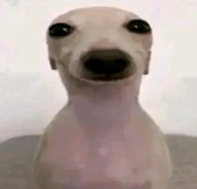 ⠀⠀val⠀⠀ᝰ.⠀⠀ how i feel putting images over quotes instead of replying to ppl