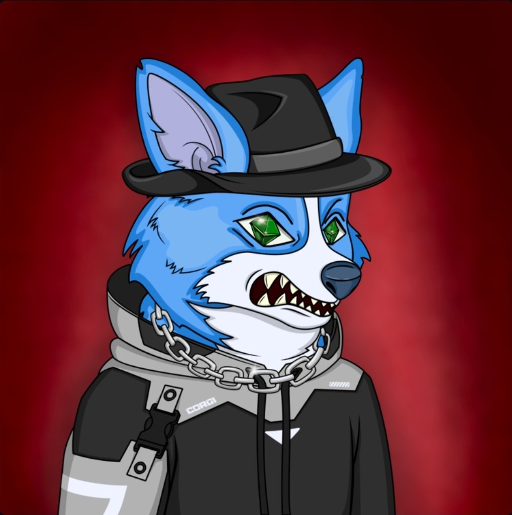 _TheSubie_'s tweet image. @corgi_studio #CorgiStudios