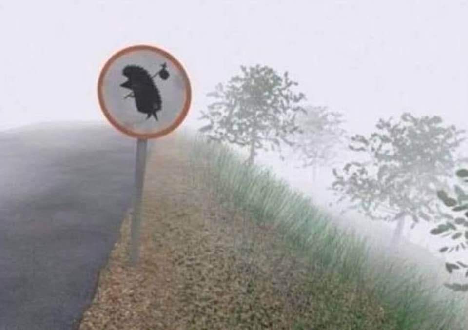 Alguien me podrá explicar está foto con esta señal?
Está en la falda del Cerro Ancón, del otro lado de la Avenida Nacional, por dónde está el BDA.