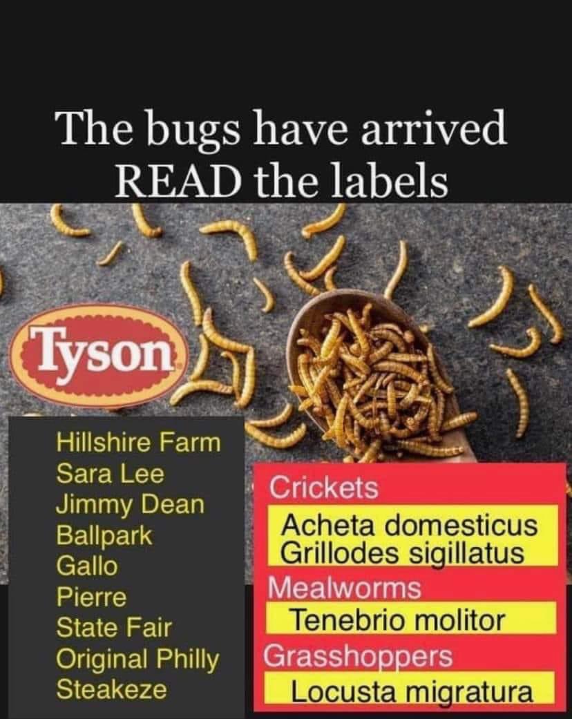 Stay away from this @TysonFoods sh!t

#boycottTysonFoods