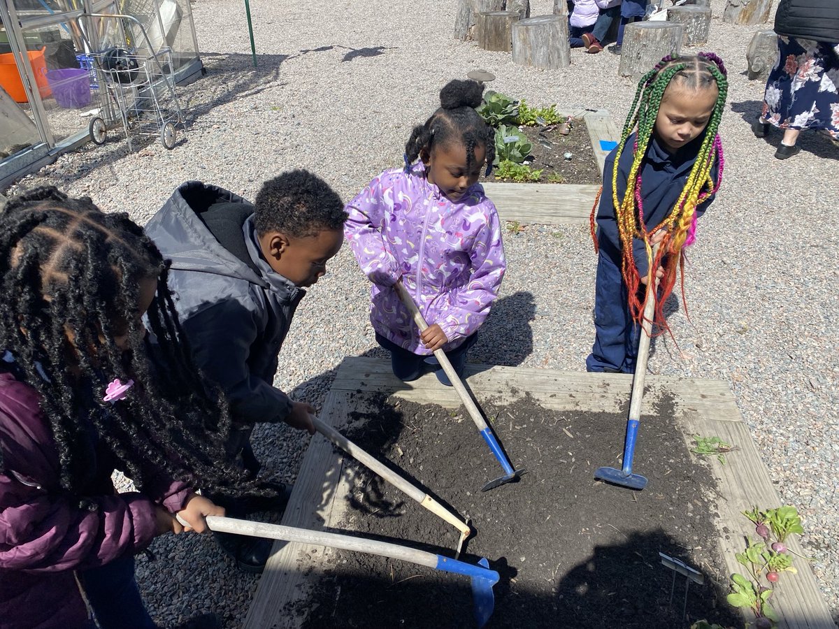 ‘Discovery Days’ ‘Thinking Like a Gardener’ ⁦@SeatackDream⁩ ⁦@vbschools⁩ ⁦@VBGifted⁩ #LearningTogether 🥗 #kindergarten #communitygardenseatack🌱