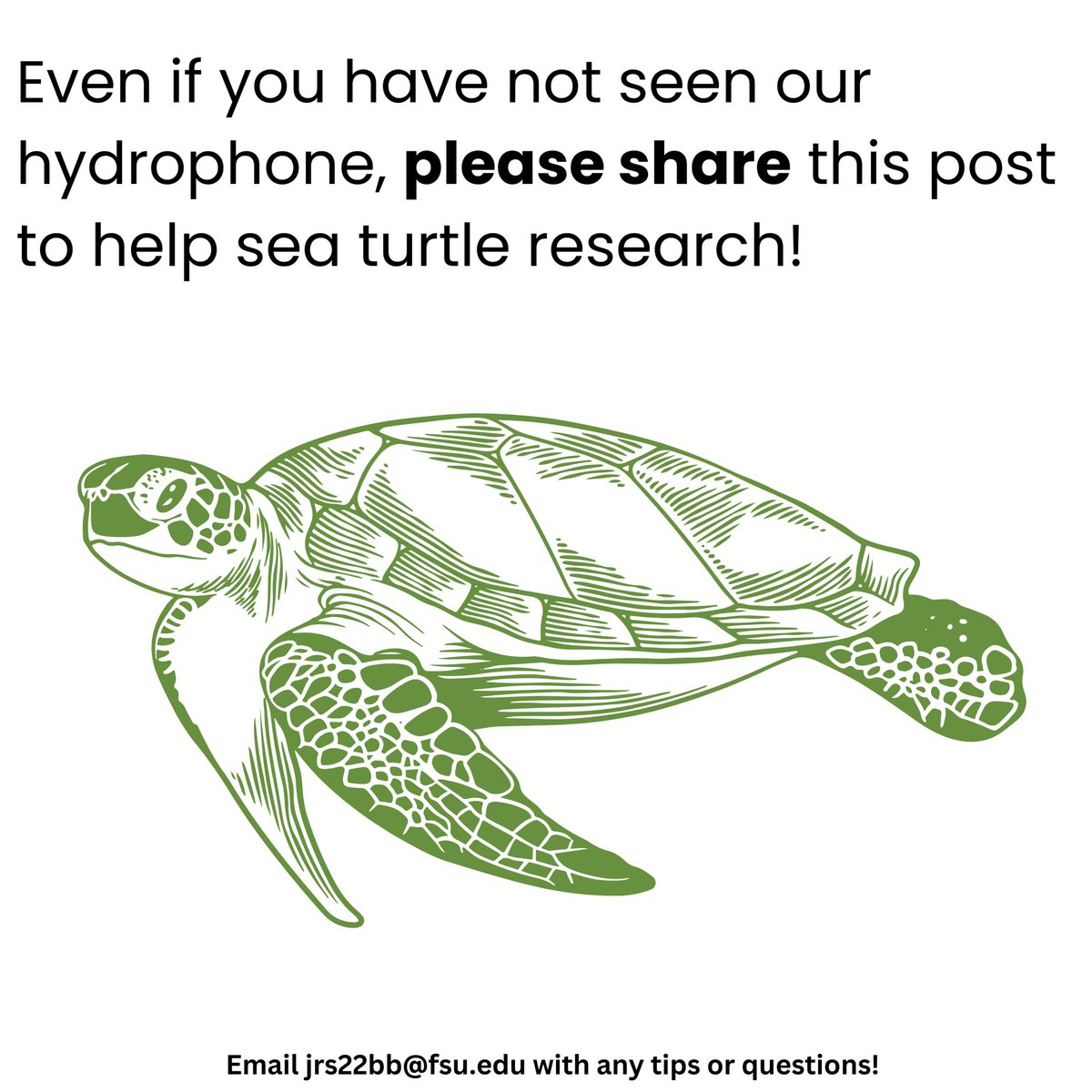 The FSU marine turtle research lab is looking for one of our instruments (a hydrophone). This instrument provides critical information about the soundscape of Crystal River, an area which is home to 3 species of sea turtle who are threatened w/ extinction! Please read & retweet!