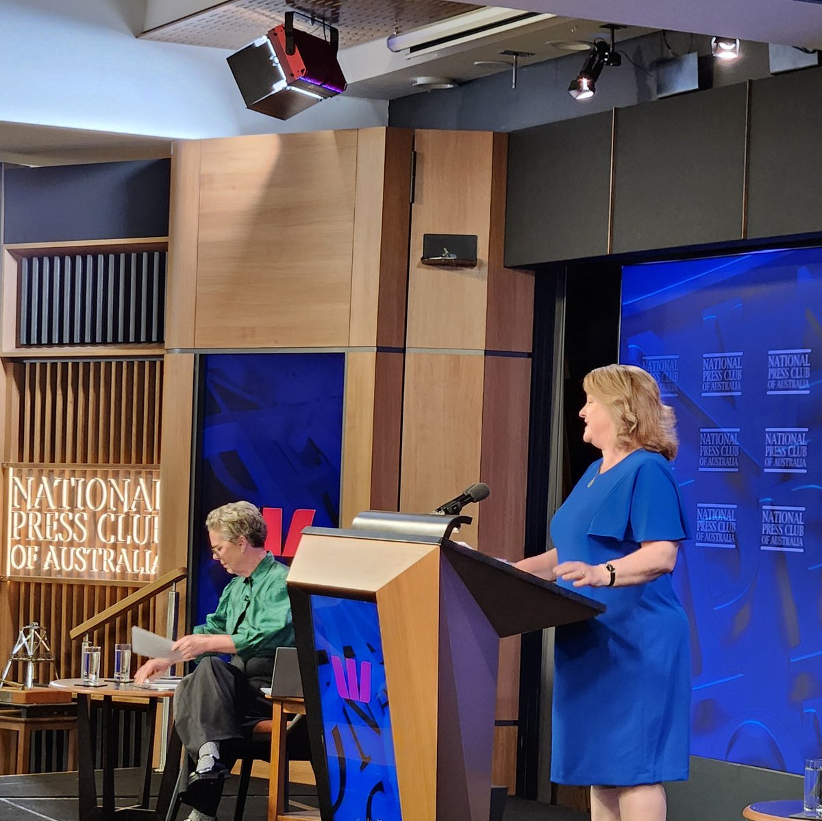 WGEA CEO Mary Wooldridge at the National Press Club: To tackle persistent problems “employers cannot continue with business as usual. [Problems] require inspired leadership, new thinking and in some cases working collaboratively to solve broader Industry wide challenges.” #NPC