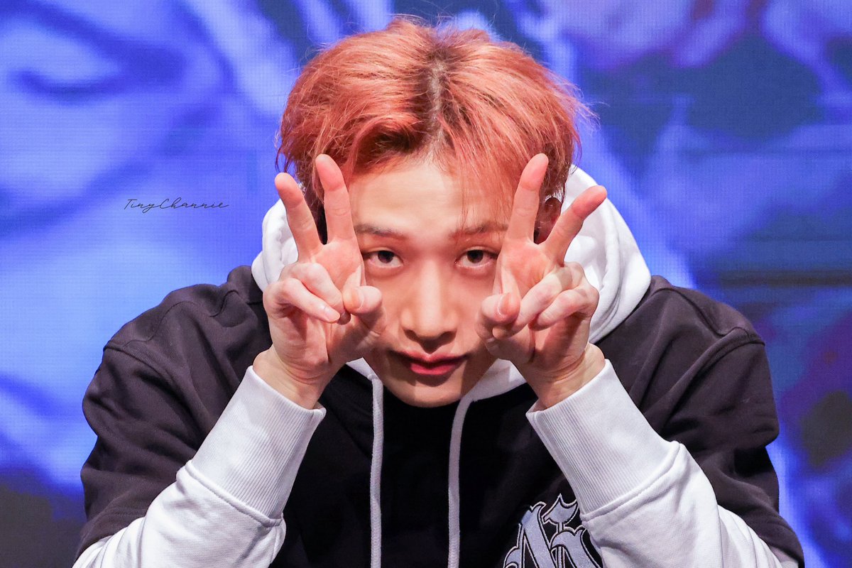 Tiny Channie 👶🏻🐺 tweet media