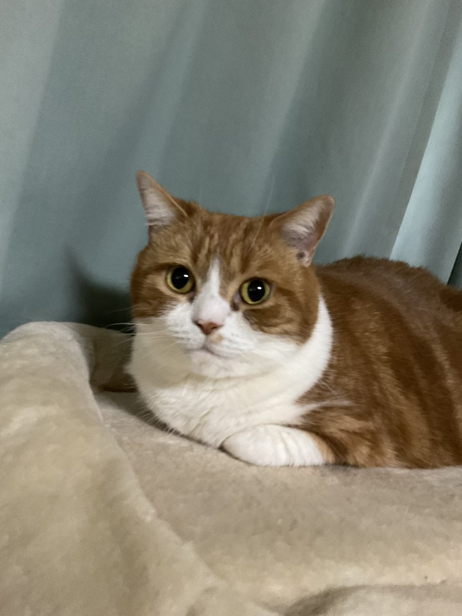 おはようございます☔️

最近体調不良で低浮上気味です。
メルさん、皆さんすみません🙇