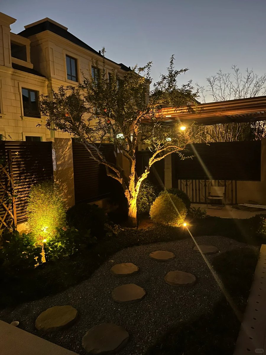 Cc6Lin's tweet image. 半分の生活です
半分ロマンチックです🌹