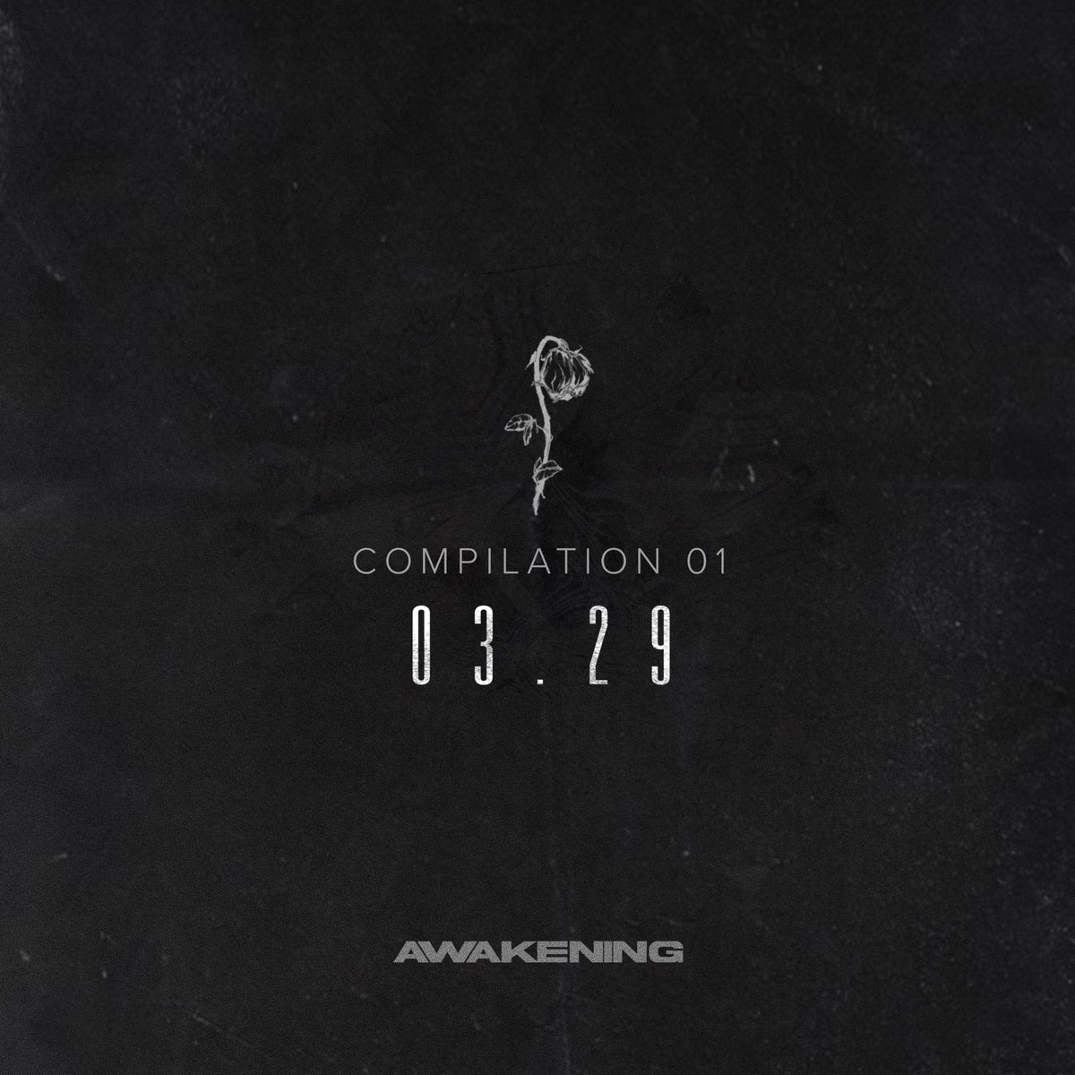 New music this Friday 🥀 <a href="/awakeninglabel/">Awakening Records</a>