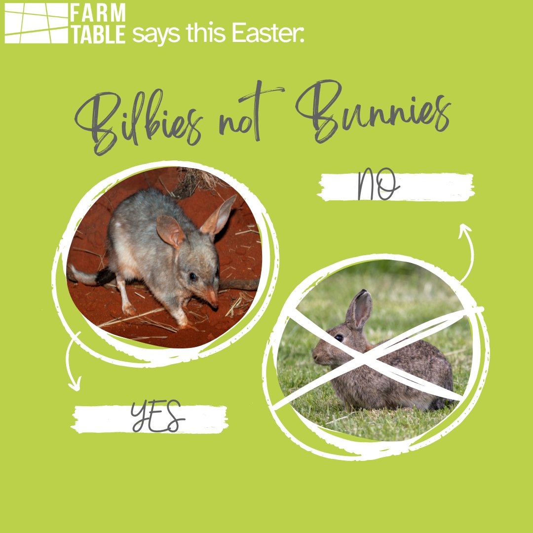 Shopping for Easter treats? Consider buying an Easter Bilby not an Easter Bunny. Rabbits are one of the most destructive pests in Australia and cause untold damage to our environment. To learn more about how you can support the bilby click here: tinyurl.com/mc2cxpr2