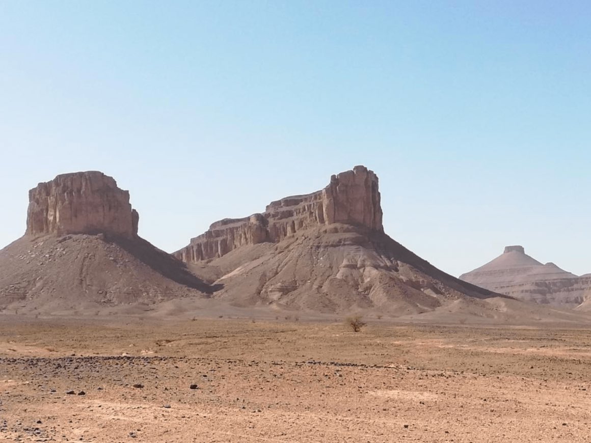 AFRICA IS HOME GLOBAL tweet media