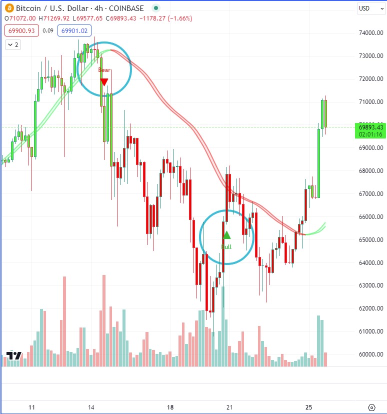 thehumbleoracle's tweet image. Caught the top and bottom with the trading buddy indicator. We just have to trade the bull and bears. If you&apos;re interested check out : maxsi.io

#Bitcoin #BTC #crypto #trading #tradingview