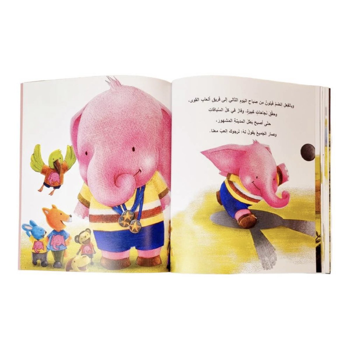 دار هبة tweet media