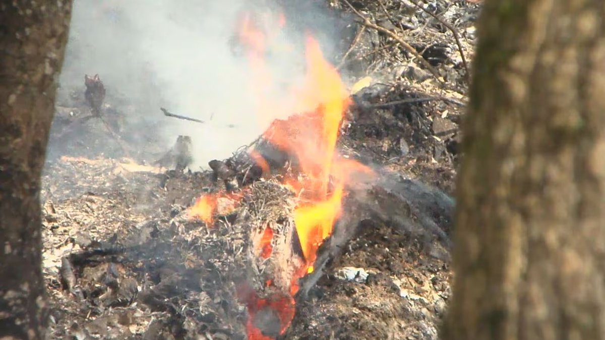 WeatherAubs's tweet image. Now that things have calmed a bit, I want to genuinely thank EVERYONE who had any part in fighting the fires. From FF, to police, volunteers, Forestry, EMs, first responders, everyone. We have no deaths to report, &amp;amp; that's amazing. 
whsv.com/2024/03/23/new…