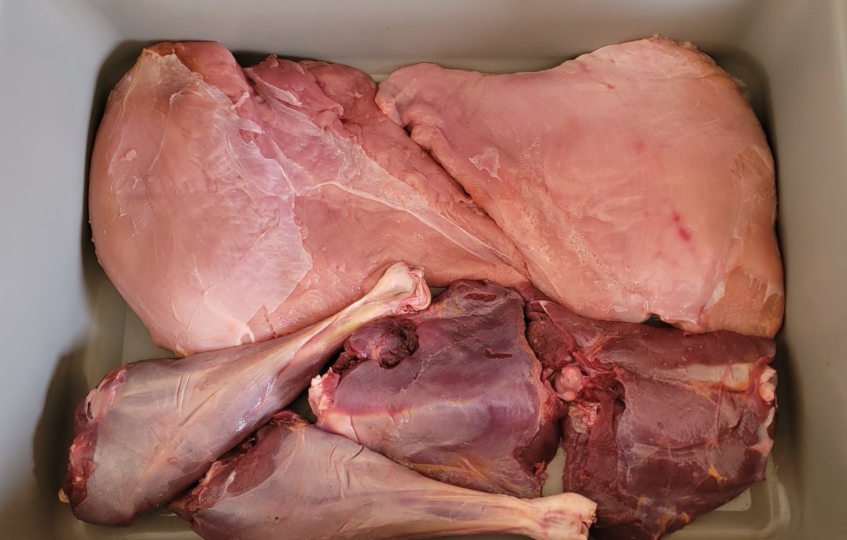 Prepping some of the last wild turkey I had in my freezer for the smoker! The legs and thighs may head to a soup and smoked turkey breast has countless possibilities!