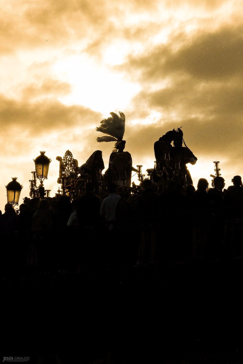 PasionDeSevilla tweet picture