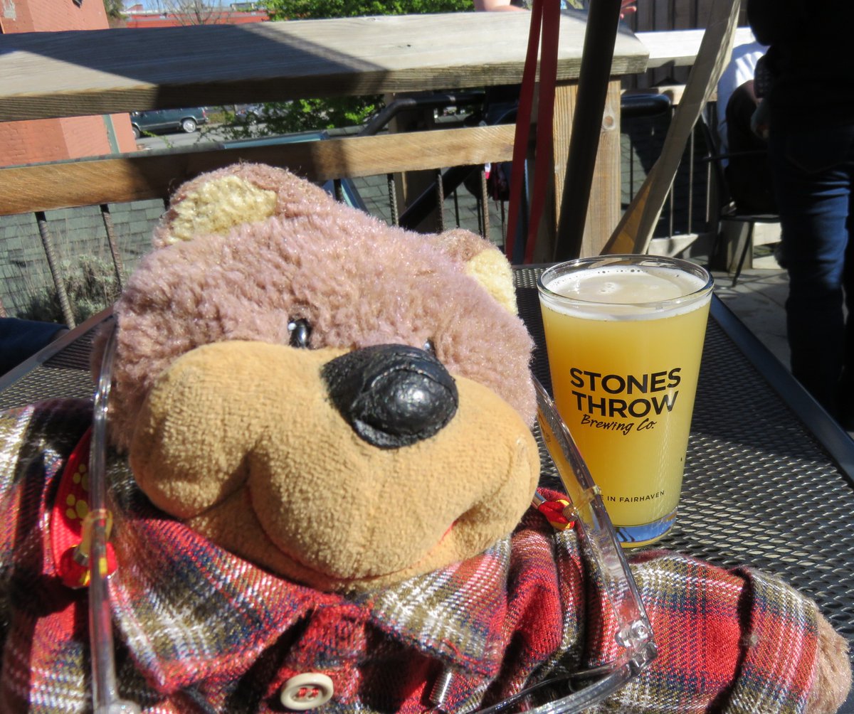 pintz on the roof! 
#celebrityauthorbear #stuffies #plushies #teddybears #teddybearauthors #bearfluencer #CraftBeer 
teddytedaloo.com