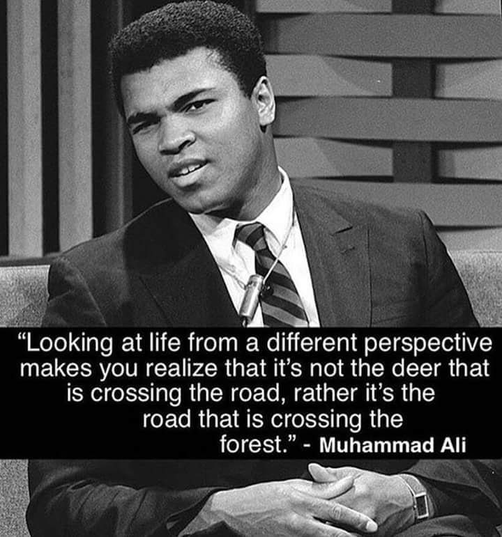 'Hating someone is like drinking poison hoping the other person gets sick'. #BeKind #perspective