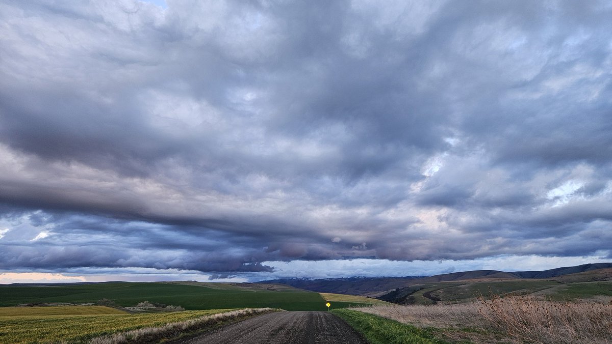 Where to...
.
#umatillariver #ctuir #cayuse #viewfromhere #stopandlookaround #dirtroad #onelane #gravelroad #cloudphotography #cloud_captures #cloudscapes #springtime #pnw #pnwphotography #pacificnorthwest #pnwadventures #getoutside #easternoregon