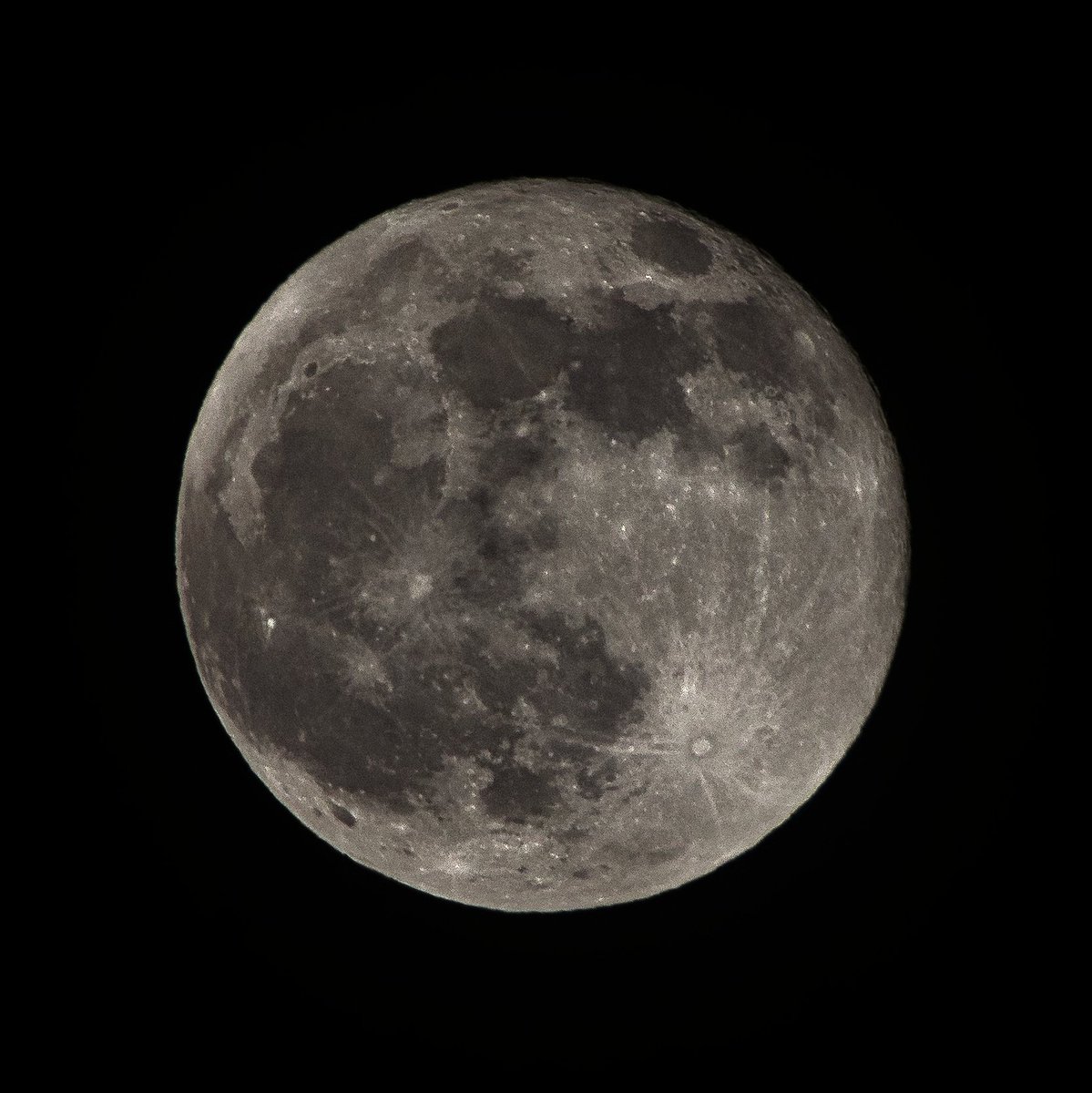Claudius_o_L's tweet photo. Ach ja...

(ist ein bisschen diesig)

#MoonHour 
#justthemoon 
#pentaxk1
#pentax_dfa150450 https://t.co/ZqIah9H6TO