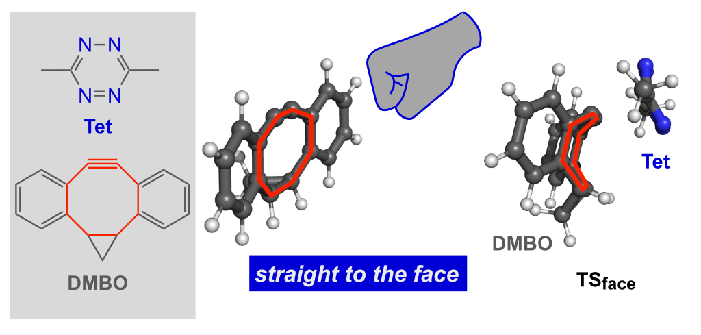 Straight to the face 👊 Nice collaboration with @houk1000 and @Click_Chemist! Small cycloalkane fusions enhance the cycloaddition reactivity of dibenzocyclooctynes (especially towards tetrazines 🩷) Many congrats to Toni and Dennis! 🧪💻🧑‍🔬🧑‍💻 #bioorthogonal doi.org/10.1039/D3SC05…