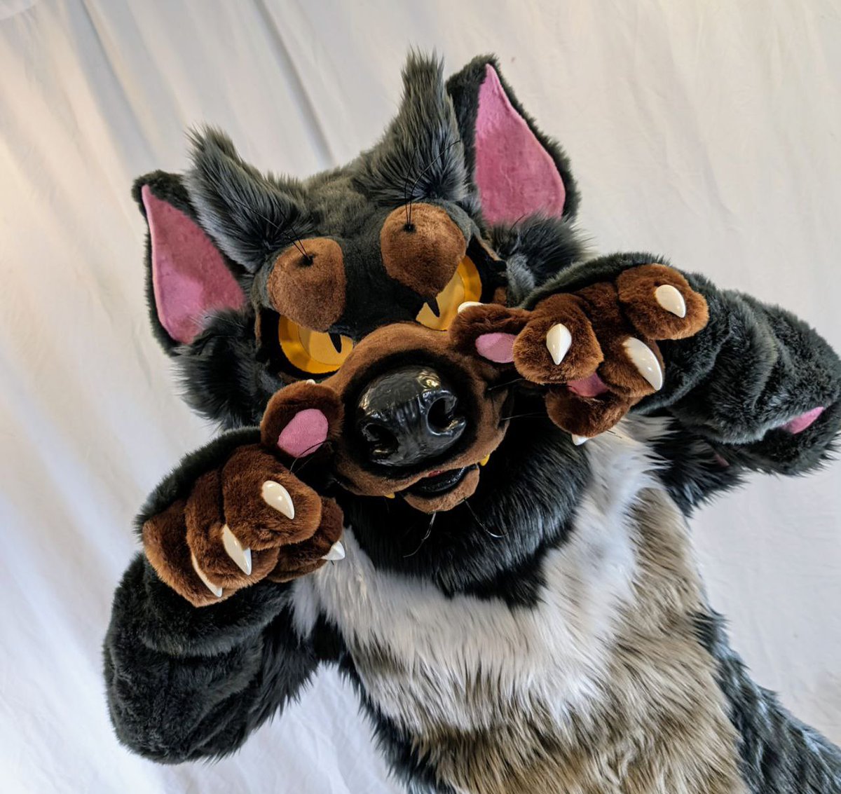 SHE IS FINALLY HERE!! MFL did an AMAZING job on her i could not be happier!! I also will be going to AC this year so come say hi👀 🪡:@MoreFurLess #fursuit #morefurless #furry #fursona #furryfandom #furrycommunity #Tasmaniandevil