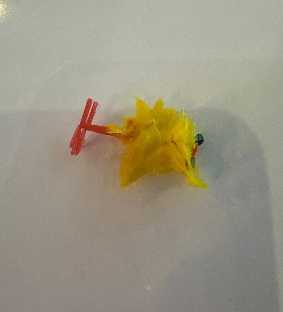 deIenart's tweet image. me