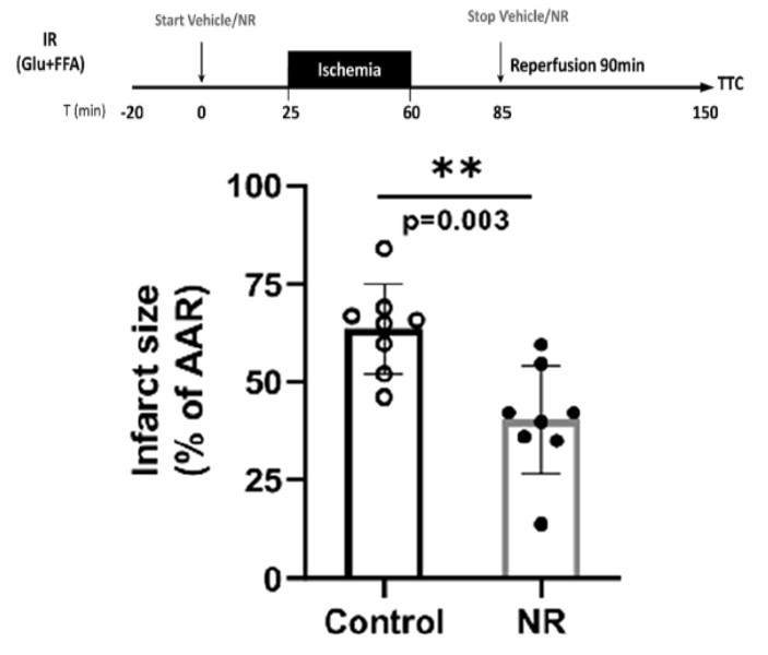 Cardioprotection- insulin, glycolysis and nicotinamide riboside link.springer.com/article/10.100…