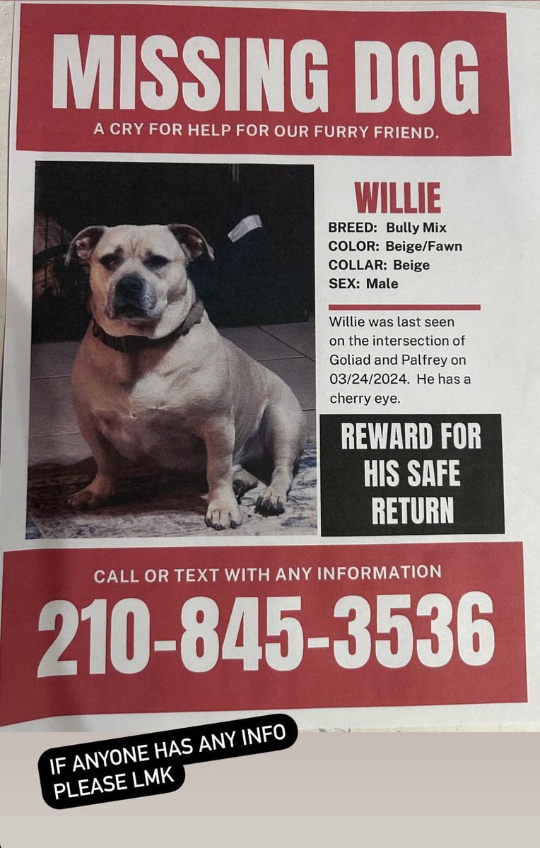 Still looking for Willie, he’s been posted on paw boost and next door in the area he was last seen in SA. Plz RT!
