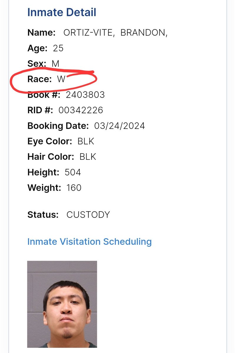 Brick Suit tweet media