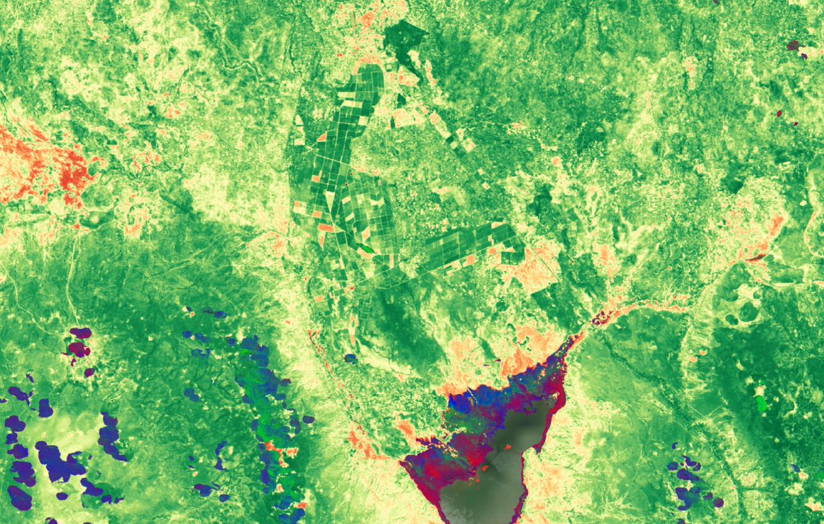 GeoscienceAus tweet picture