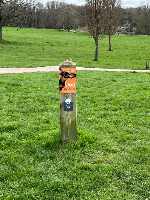 Ah, outside Cedar Cafe in Cassiobury Park, they have dog treats inside as well as human threats.