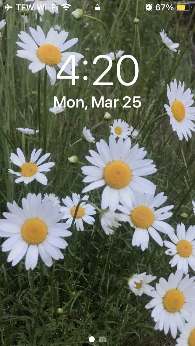 Jurassic Blueberries tweet media