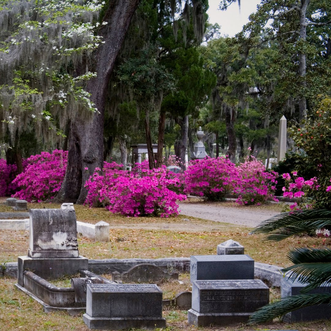 Condé Nast Traveler says Savannah's Bonaventure Cemetery is one of the most beautiful cemeteries you can visit! bit.ly/2Dz5Ocr