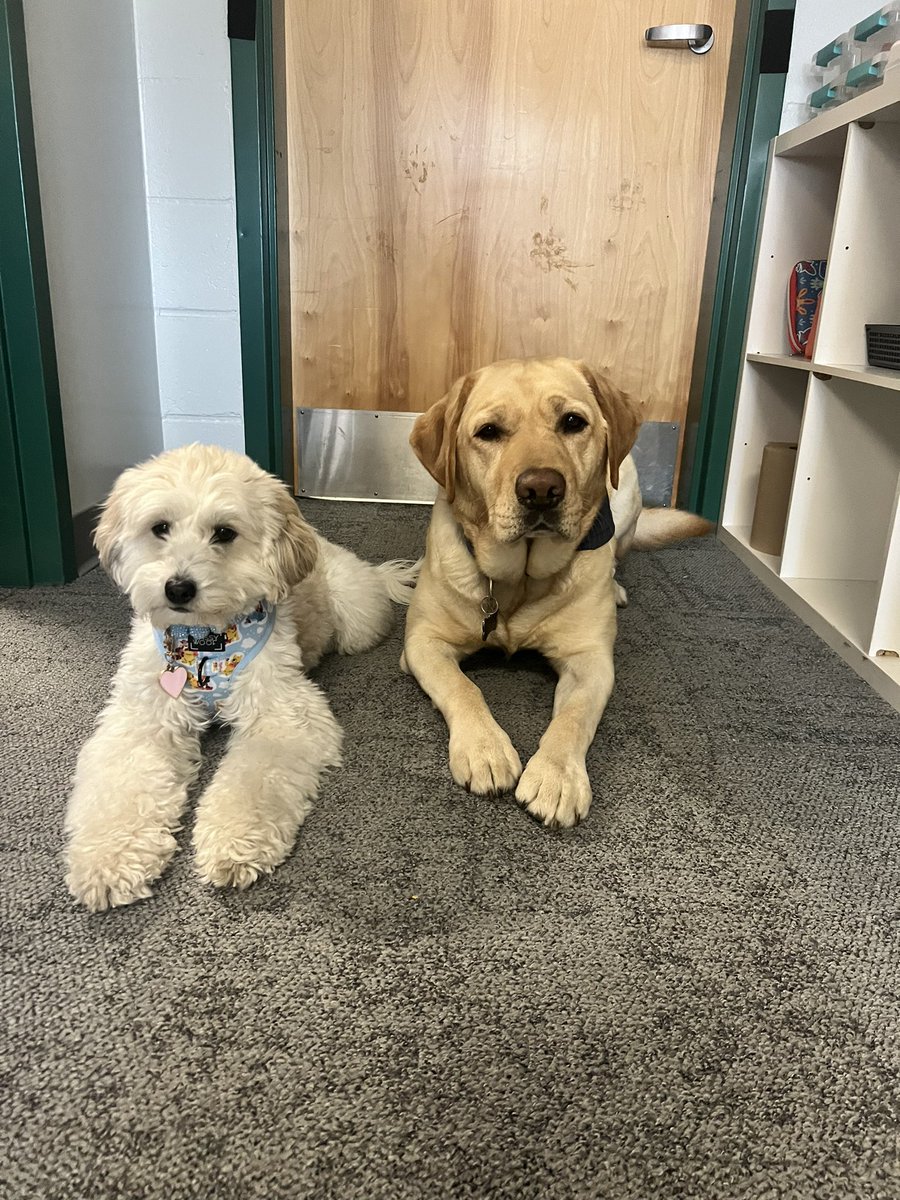 Jenn Feudo tweet media