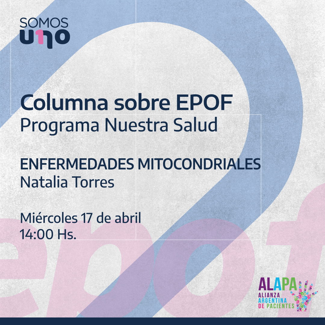 📺 El miércoles 17 de abril a las 14.00 hs, Natalia Torres, coordinadora de Enfermedades Mitocondriales Argentina tendrá su columna en el programa Nuestra Salud por @SomosUnoCh

#SomosALAPA #Pacientes #EPOF #Mitocondriales