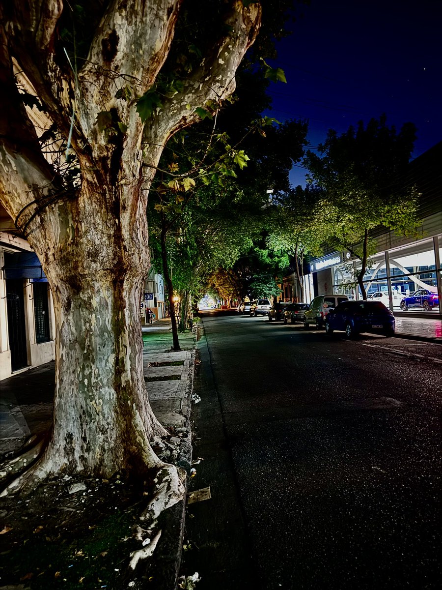 Vecinos de Pichincha tweet media